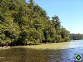 thn_NZ leden-unor 2006 247.jpg